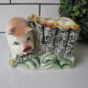 Peut inclure: Un pot en céramique en forme de cochon qui sort d'un tronc d'arbre. Le pot est peint dans des tons de brun, vert et blanc.