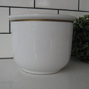 May include: White ceramic planter with a gold rim. The planter is sitting on a white countertop.