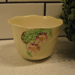 May include: A small, cream-colored ceramic planter with a floral design. The planter features pink and green flowers with green leaves.