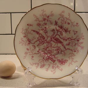May include: A white porcelain saucer with a pink floral design featuring birds and branches. The saucer has a gold rim.