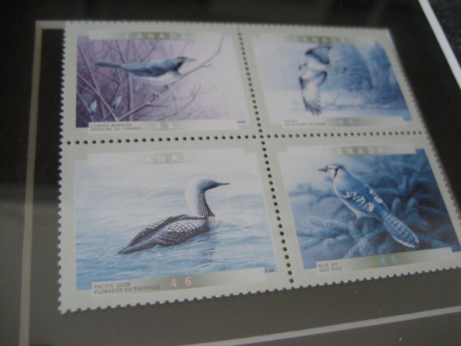 Postmaster Blue 9.25