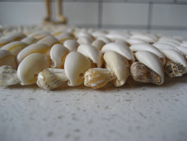May include: A close-up of a white seashell coaster made of many small seashells. The coaster is made of a variety of seashells, including some with brown and white stripes.