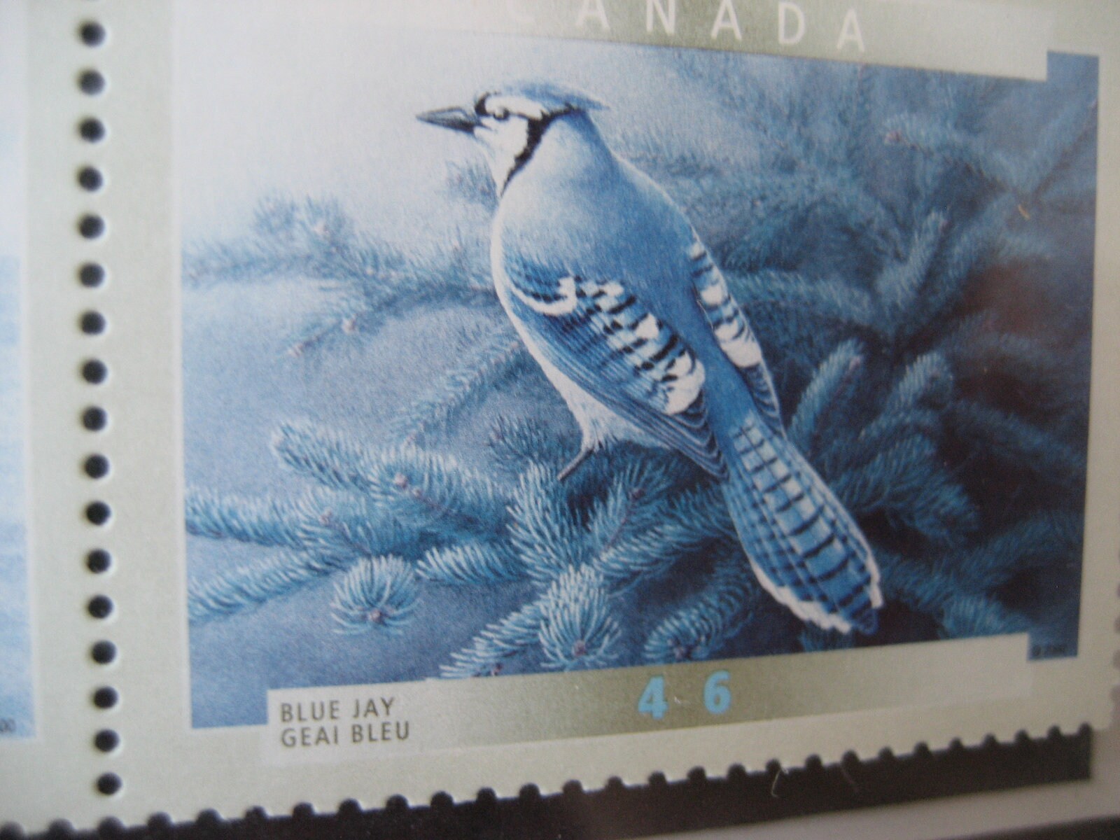 Postmaster Blue 9.25