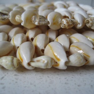 May include: A close-up of a white and yellow shell necklace. The shells are arranged in a pattern and have a smooth, polished finish.
