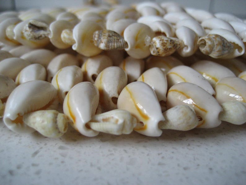 May include: A close-up of a white and yellow shell necklace. The shells are arranged in a pattern and have a smooth, polished finish.