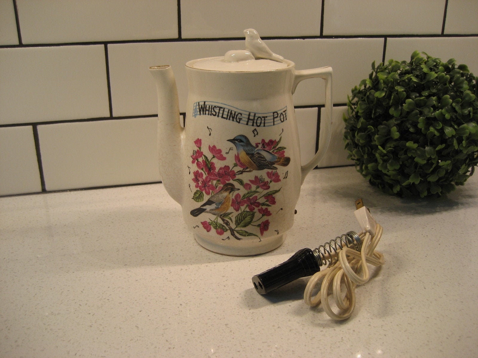 Hailwood's 陶器瓶 2点セット 1910 Hailwood's 陶器瓶 2点セット 1910