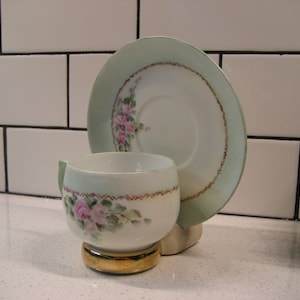 Antique MZ Altrohlau CMR Porcelain Teacup Saucer Set hand-painted retro geometric arrow border pale green delicate roses Czechoslovakia gift