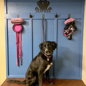 May include: A black dog sits in front of a blue wall with hooks. The hooks hold a pink leash, a pink dog bowl, and a pink dog harness. The wall has the name "Sophie" written on it.