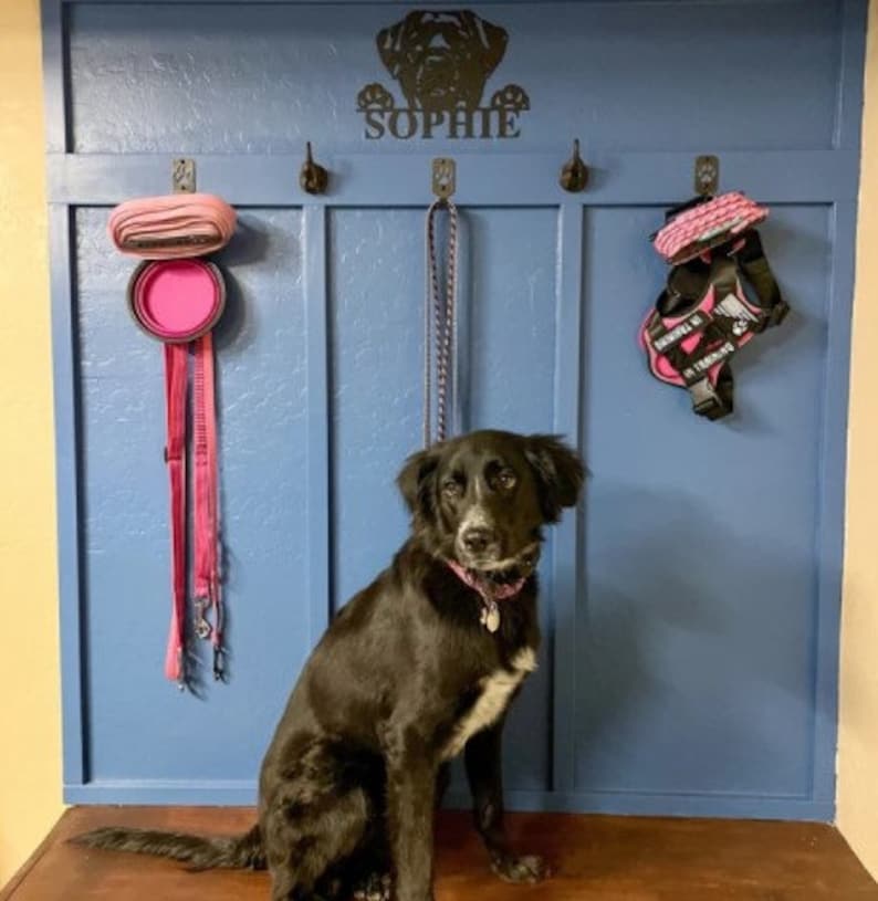 May include: A black dog sits in front of a blue wall with hooks. The hooks hold a pink leash, a pink dog bowl, and a pink dog harness. The wall has the name "Sophie" written on it.