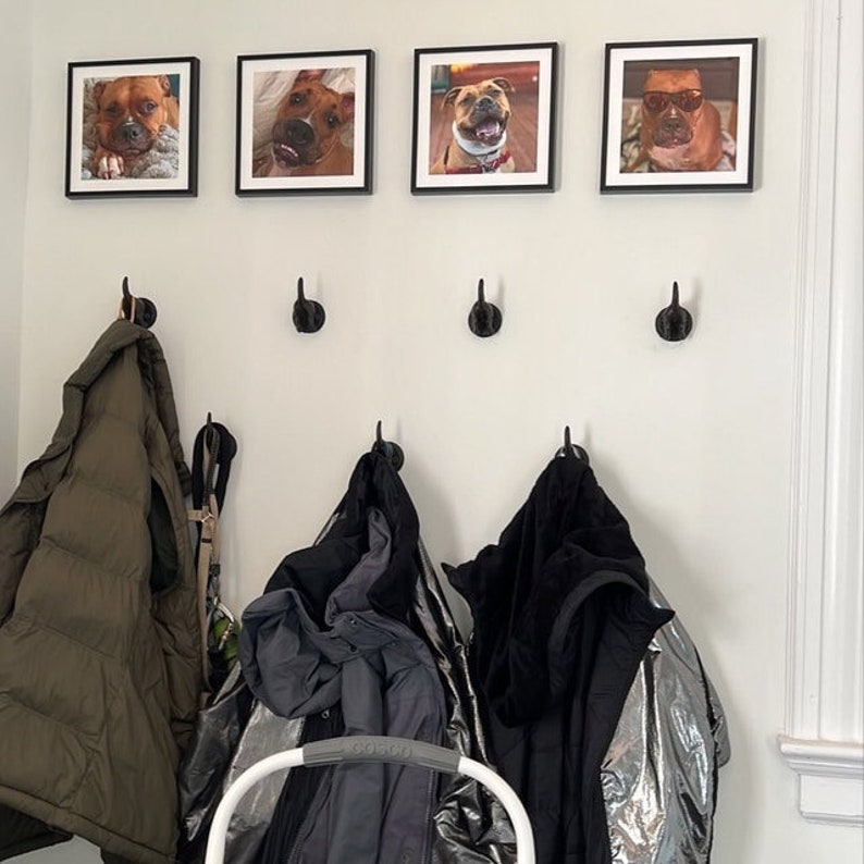 May include: Four framed photos of dogs with black frames hanging on a white wall. Three black hooks are on the wall below the photos. Three jackets hang on the hooks.