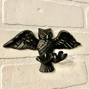 Owl Hooks -  Singapore