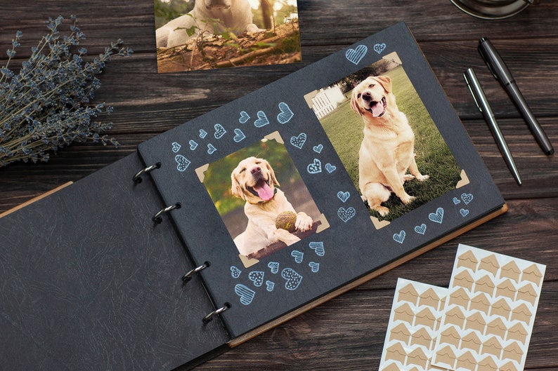 Puede incluir: Un &aacute;lbum de fotos negro con una cubierta de cuero marr&oacute;n y encuadernaci&oacute;n en espiral. El &aacute;lbum est&aacute; abierto en una p&aacute;gina con dos fotos de perros golden retriever. Las fotos est&aacute;n decoradas con pegatinas de corazones azules.
