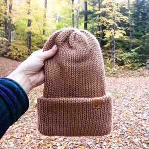 May include: A brown knitted beanie with a fold-over cuff and a small leather patch with the letters "LT" on it.
