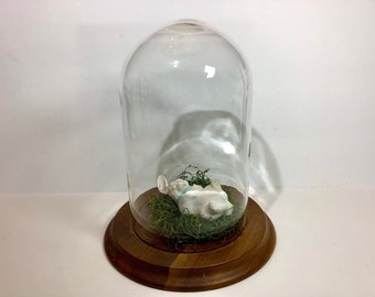 Bell Jar Display~Large Glass Dome With Wood Base