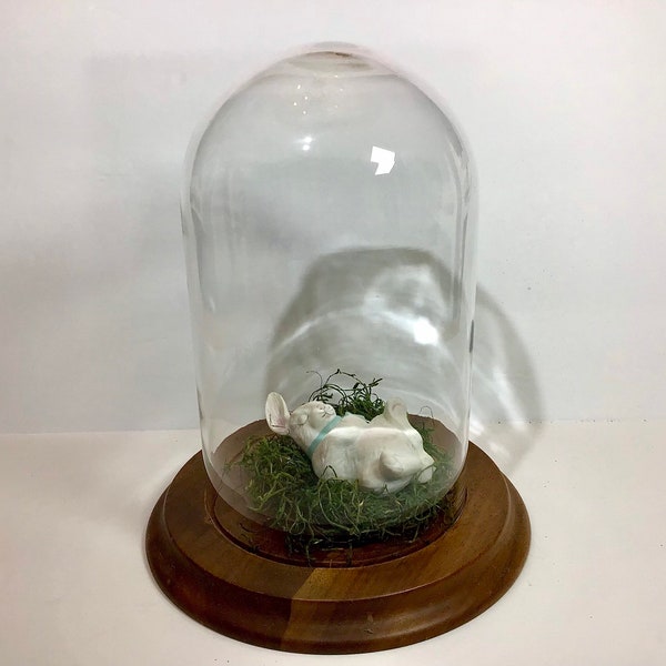 Bell Jar Display~Large Glass Dome With Wood Base