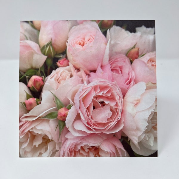 5x5 Garden Greeting Card with David Austin English Rose #157