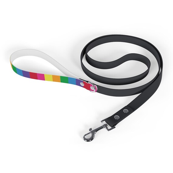 Colorful Rainbow Striped Leash for Your Pet