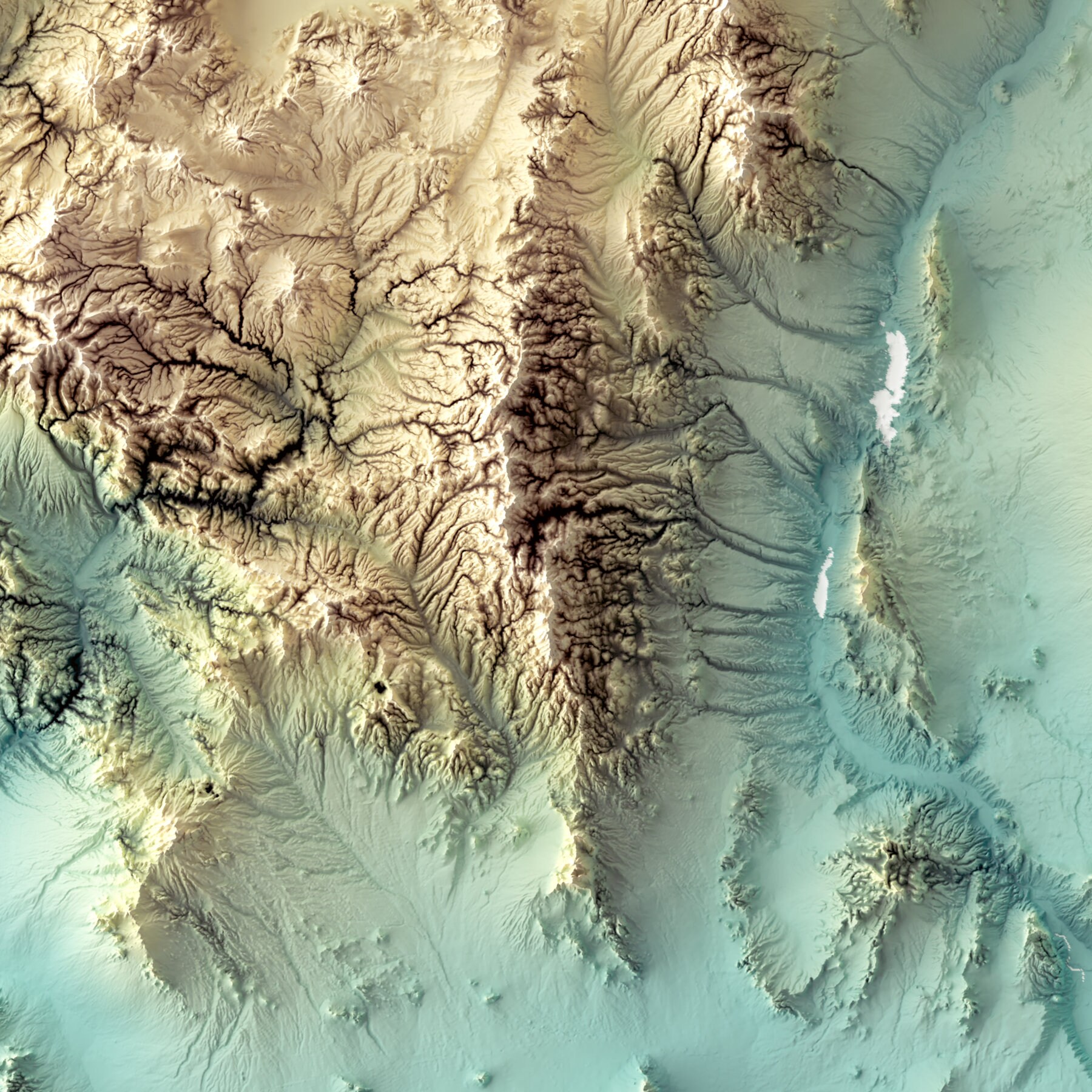 New Mexico Shaded Relief Map Earth Tones - Etsy