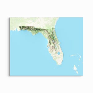 Florida gearceerde reliëfkaart - KIES JE STIJL - ingelijste print, hoogtekaart, Florida poster, Florida prints