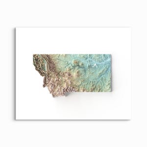 Mapa de relieve sombreado de Montana: ELIJA SU ESTILO Impresión sin marco, mapa de elevación, póster de Montana, impresiones de Montana