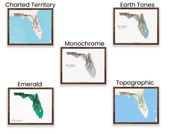 Florida Shaded Relief Map - Multiple Styles