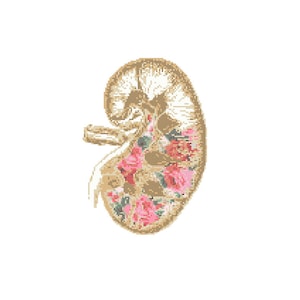 Floral Anatomical kidney Cross Stitch Pattern cross stitch Floral kidney Science geeky cross stitch floral cross stitch pattern body organ