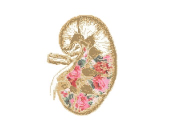 Floral Anatomical kidney Cross Stitch Pattern cross stitch Floral kidney Science geeky cross stitch floral cross stitch pattern body organ