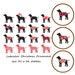 see more listings in the Dog Lovers section