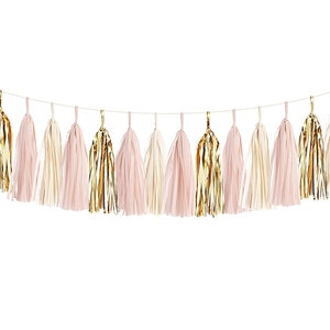 Blush Pink & Gold DIY Tassel Garland Kit - Wedding Decor / Bridal Shower Decor / First Birthday Photoshoot Paper Tassle Decor Balloon Tails