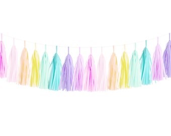 Pastel Rainbow Tassel Garland Kit DIY - Soft Pink Ombre Paper Modern Girls Room Wedding Shower Tissue Tassle Nursery Decor Kids Children