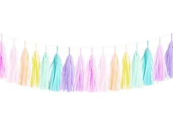 Pastel Rainbow Tassel Garland Kit DIY - Soft Pink Ombre Paper Modern Girls Room Wedding Shower Tissue Tassle Nursery Decor Kids Children