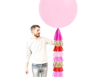 Valentine's Day Pink Balloon with Tassels - Latex Balloon - Red Pink Gold Tassle Garland Shower Photoshoot Decoration