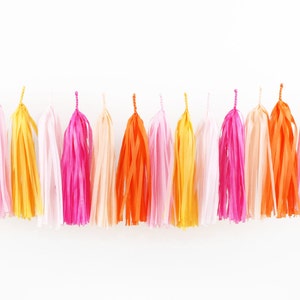 DIY Pink Grapefruit Tissue Tassel Garland Bright Custom Light Hot