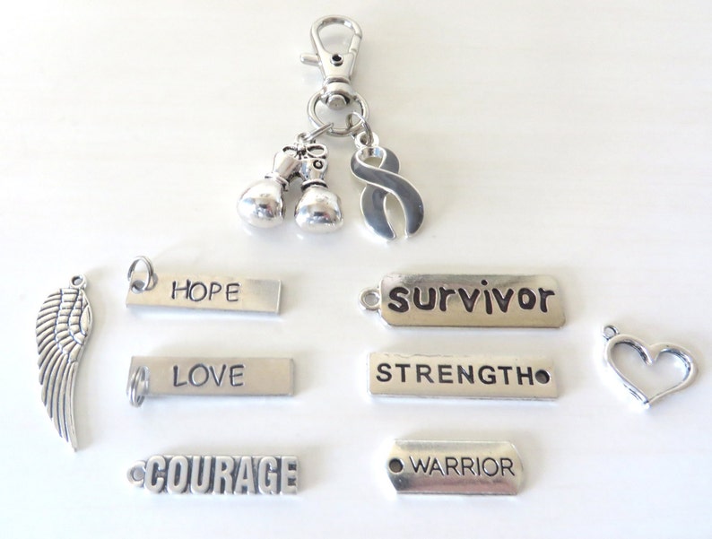 Grey Awareness Zipper Pull Key Chain YOU Select Charms Brain Cancer Brain Tumor Parkinsons Brain Injury Diabetes Asthma image 2