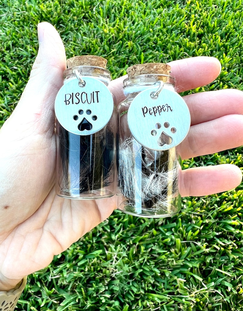 Pet Memorial Gift Pet Fur Keepsake Jar Pet Ashes Glass Jar Etsy