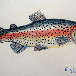 Rainbow Trout(original watercolor) Trout art, fish painting, fish wall art, fish illustration, sports fishing art.