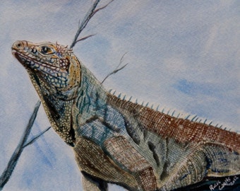 Blue Iguana (original watercolor) reptile art, lizard painting, Iguana painting, reptile wall art.