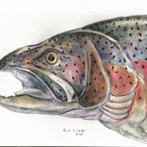 Rainbow Trout Portrait (original art), Trout painting, fish painting, fish art, fish wall art, Rainbow Trout Art.
