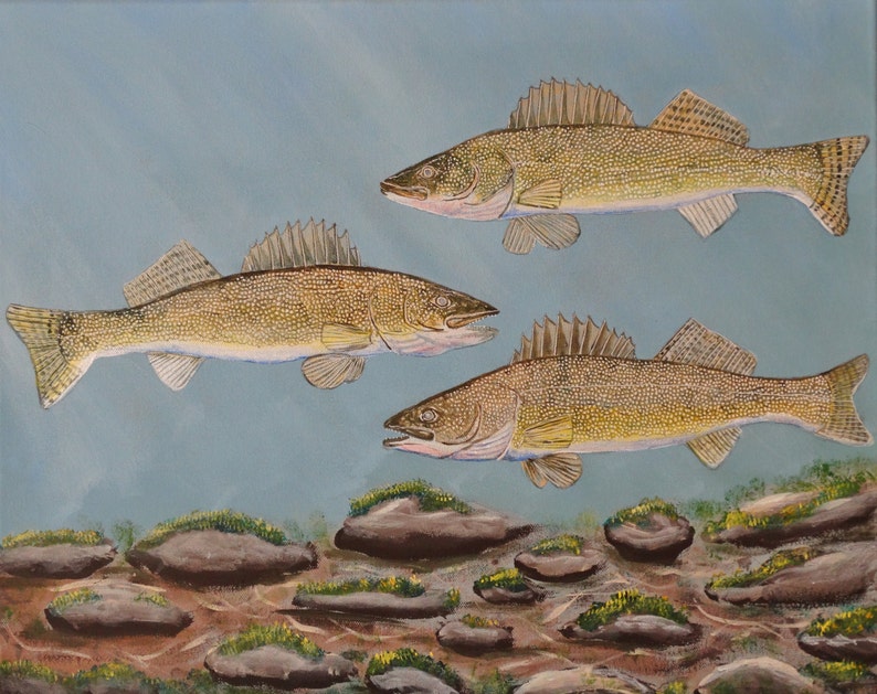 acrylic painting fish art fish wall art original painting fish painting Pike. Mitiwanga Marble Eyes walleye