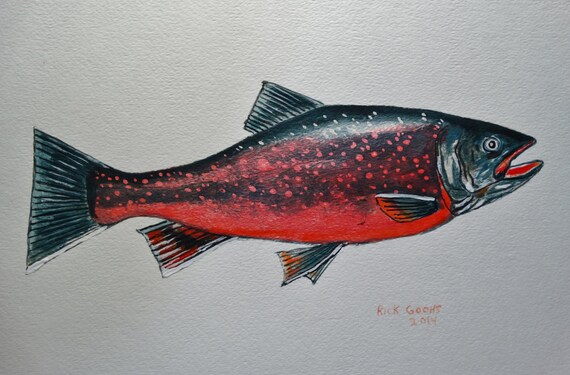 Dolly Varden Trout (original Painting), Fish Art, Fish Watercolor