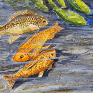 Koi Pond II (original watercolor) Fish pond painting, goldfish pond art, koi water color, koi wall art.