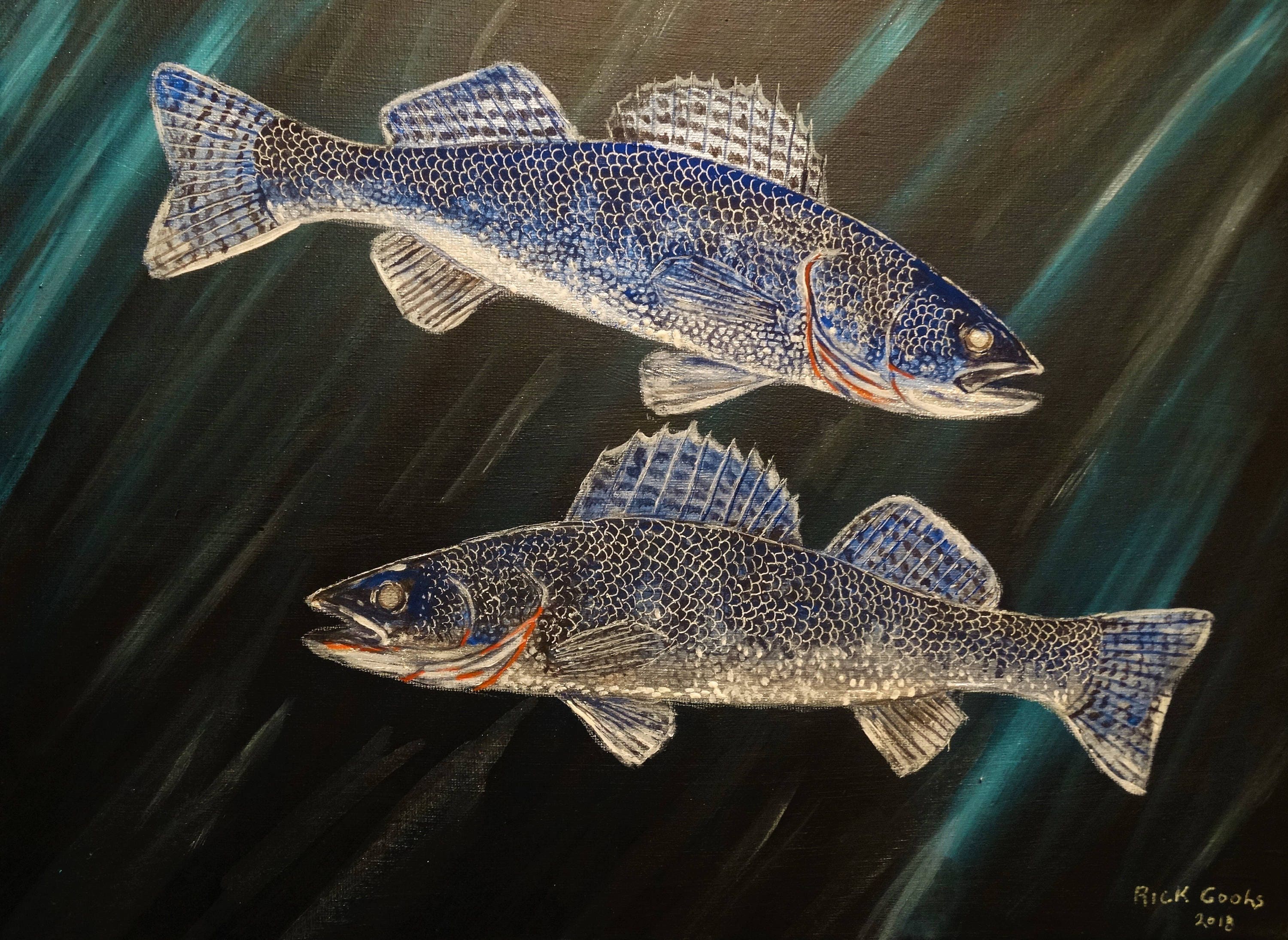 Lake Erie Blue Pike Original Painting Fish Art, Blue Sauger, Extinct