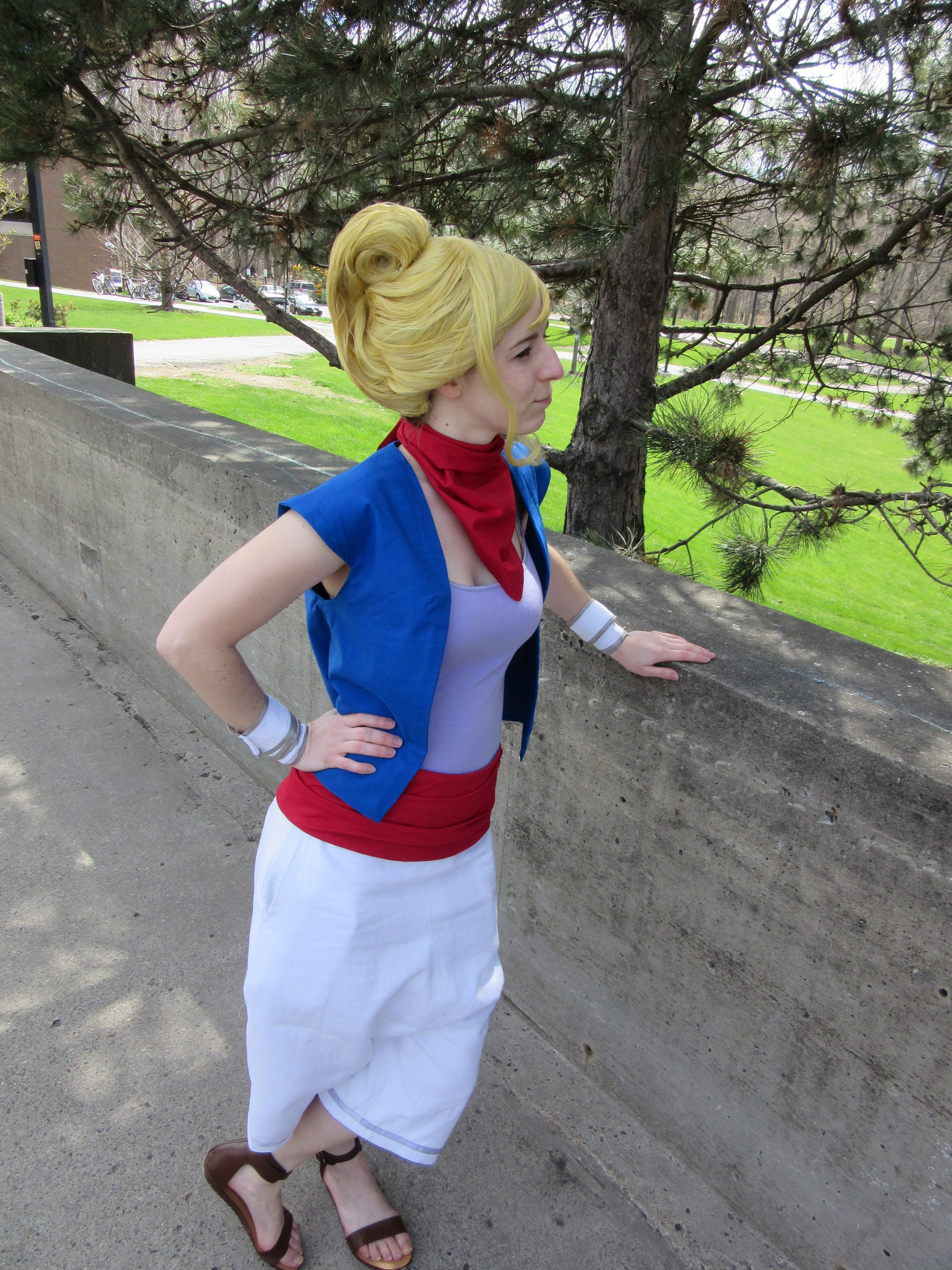 Tetra Cosplay Pants Wind Waker - Etsy