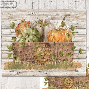 Pumpkin Patch-Pick Your Own, Digital Art, PNG & JPG, Sublimation, Transfer, Wall Art, Instant Download, Non-Digital Use #1883