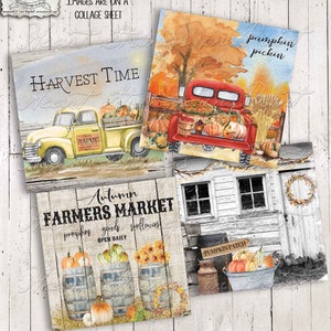 Pumpkin Harvest Printable, Coaster Designs, 4x4 Image Collage Sheet, Ephemera, Primitive, Instant Digital Download, JPG File  #1386