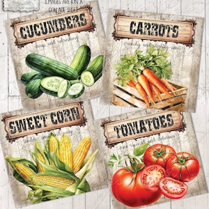 Légumes campagnards d'été, imprimables, sous-verres, art numérique, feuille de collage, éphémère, prim, téléchargement numérique instantané, JPG #2569