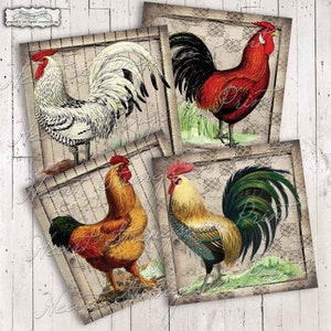 Grungy Rooster Printable, Coaster Designs, 4x4 Collage Sheet, Digital Download