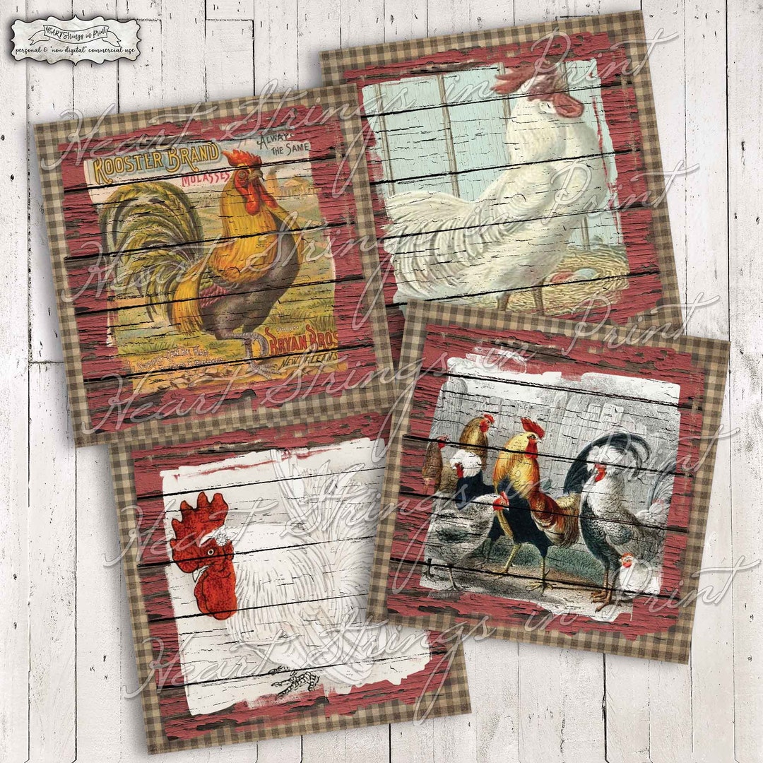 Grungy Chickens and Roosters Printable, Coaster Designs, 4x4 Collage ...