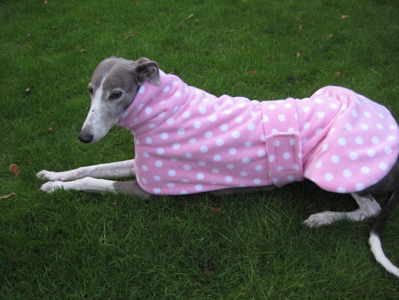 Greyhound Coat Fleece Babypink with Spots