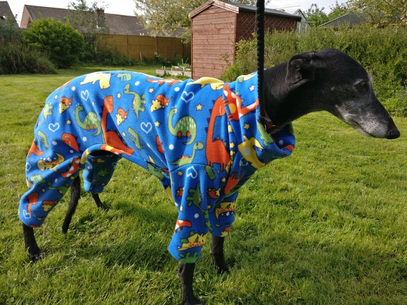 whippet pyjamas
